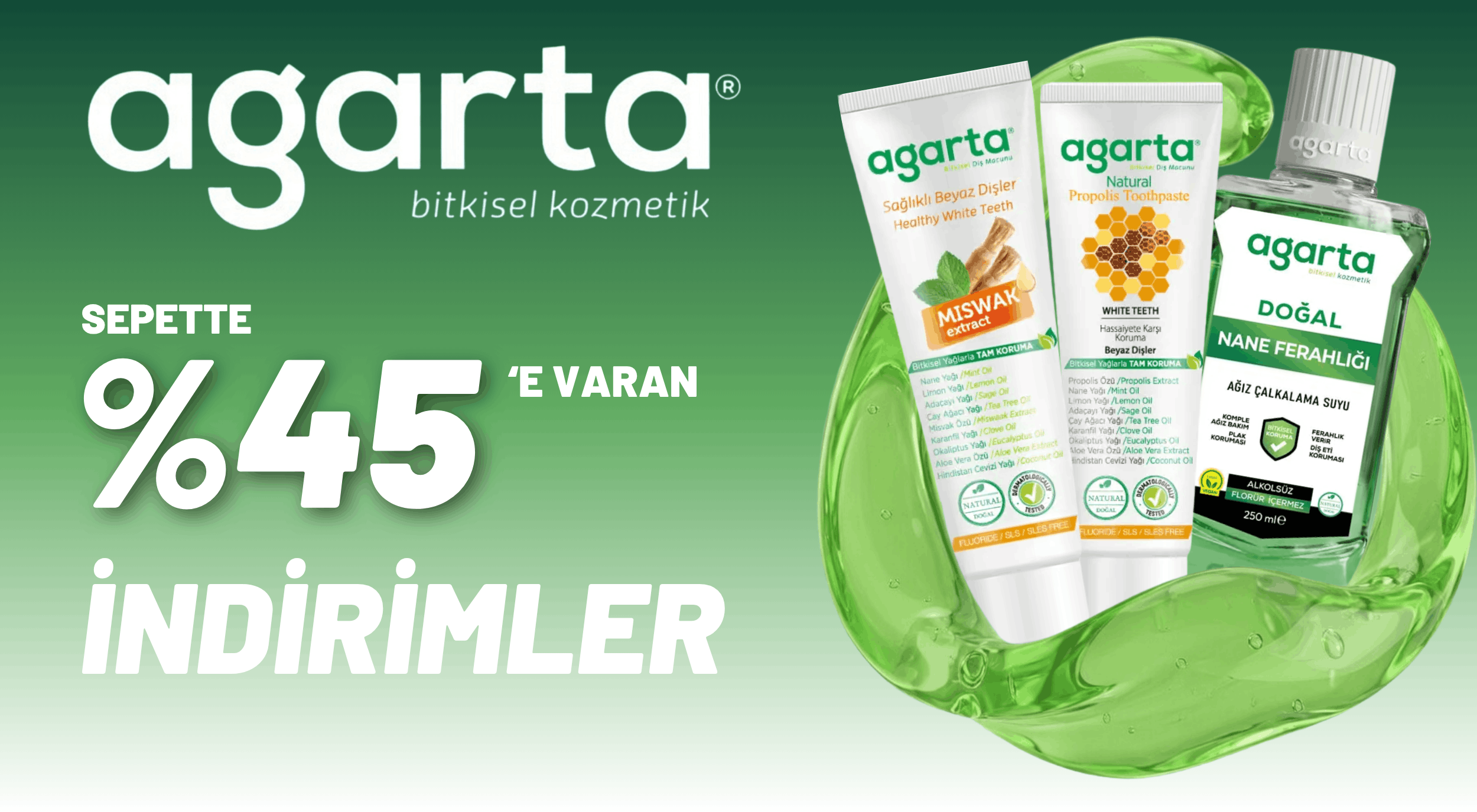 agarta