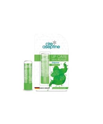 Cire Aseptine Lip Care Dudak Bakım Kremi Mentol 4,5 Gr