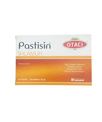 Otacı Pastisin Ihlamur Bal Bitkisel Pastil 24 Adet