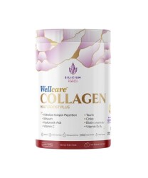 Wellcare Collagen Multiboost Plus Toz 345 Gr