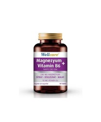 En uygun fiyatlarla Wellcare Magnezyum Vitamin B6 60 Tablet