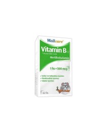 En uygun fiyatlarla Wellcare Vitamin B12 500 mcg Dil Altı Sprey 5 ML